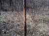 Map or photo for Schuyler County, Illinois hunting lease property.