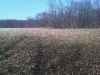 Map or photo for Schuyler County, Illinois hunting lease property.