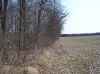 Central Ohio deer hunting