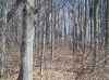 Columbus hunting property