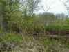 Map or photo for Greene County, Illinois hunting lease property.