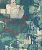 Map or photo for Vernon County, Missouri hunting lease property.
