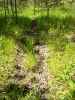 Map or photo for Vernon County, Missouri hunting lease property.