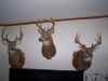Map or photo for Vernon County, Missouri hunting lease property.