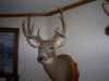 Map or photo for Vernon County, Missouri hunting lease property.