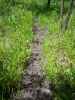 Map or photo for Vernon County, Missouri hunting lease property.