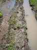 Map or photo for Vernon County, Missouri hunting lease property.