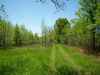 Map or photo for Vernon County, Missouri hunting lease property.