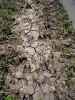 Map or photo for Vernon County, Missouri hunting lease property.