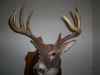 Map or photo for Vernon County, Missouri hunting lease property.