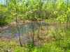 Map or photo for Vernon County, Missouri hunting lease property.