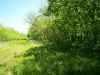 Map or photo for Vernon County, Missouri hunting lease property.