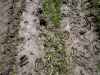 Map or photo for Vernon County, Missouri hunting lease property.