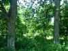 Map or photo for Linn County, Kansas hunting lease property.