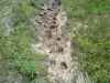 Map or photo for Linn County, Kansas hunting lease property.