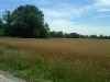 Map or photo for Linn County, Kansas hunting lease property.