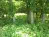Map or photo for Linn County, Kansas hunting lease property.