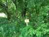 Map or photo for Linn County, Kansas hunting lease property.