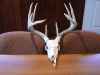 Map or photo for Jo Daviess County, Illinois hunting lease property.