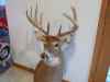 Map or photo for Jo Daviess County, Illinois hunting lease property.