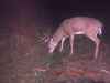 Map or photo for Jo Daviess County, Illinois hunting lease property.