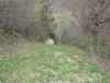 Map or photo for Jo Daviess County, Illinois hunting lease property.
