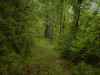 Map or photo for Monroe County, Ohio hunting lease property.