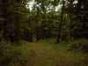 Map or photo for Monroe County, Ohio hunting lease property.