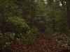 Map or photo for Monroe County, Ohio hunting lease property.