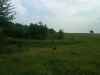Map or photo for Marshall County, Kansas hunting lease property.
