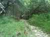 Map or photo for Marshall County, Kansas hunting lease property.