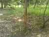 Map or photo for Marshall County, Kansas hunting lease property.