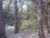 Map or photo for Marshall County, Kansas hunting lease property.
