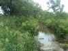 Map or photo for Marshall County, Kansas hunting lease property.