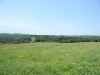 Hunting Iowa CRP
