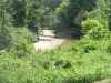 River Bottom Bucks