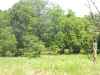 Iowa Deer Hunting