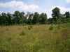 Map or photo for Texas County, Missouri hunting lease property.