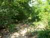 Map or photo for Texas County, Missouri hunting lease property.