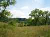 Map or photo for Texas County, Missouri hunting lease property.