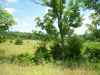 Map or photo for Texas County, Missouri hunting lease property.
