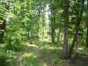 Map or photo for Texas County, Missouri hunting lease property.