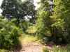 Map or photo for Texas County, Missouri hunting lease property.