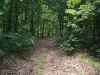 Map or photo for Texas County, Missouri hunting lease property.