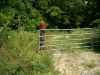 Map or photo for Texas County, Missouri hunting lease property.