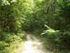 Map or photo for Texas County, Missouri hunting lease property.