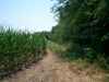 Map or photo for Pike County, Missouri hunting lease property.
