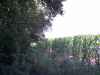 Map or photo for Pike County, Missouri hunting lease property.