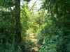 Map or photo for Pike County, Missouri hunting lease property.