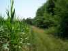 Map or photo for Pike County, Missouri hunting lease property.